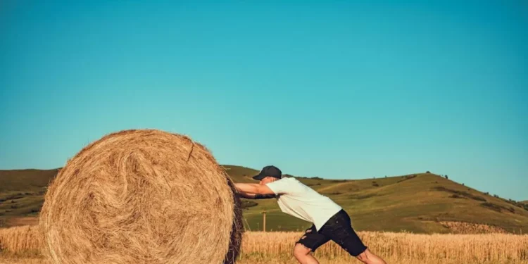 Elogio a tener ganas