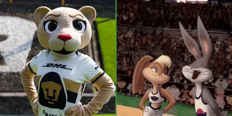 Vatos que se emocionaron con Lola Bunny, admiten crush por “Goya”