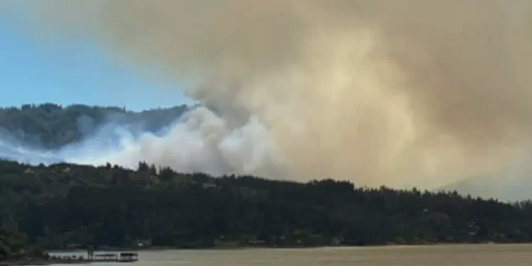 Alerta roja por incendio forestal en Vichuquén