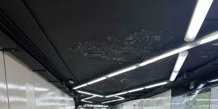 El ‘bunyol’ de Drassanes