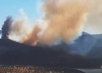 Continúa intranquilo incendio forestal cercano a sectores habitados en Limache y Concón