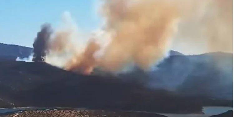 Continúa intranquilo incendio forestal cercano a sectores habitados en Limache y Concón