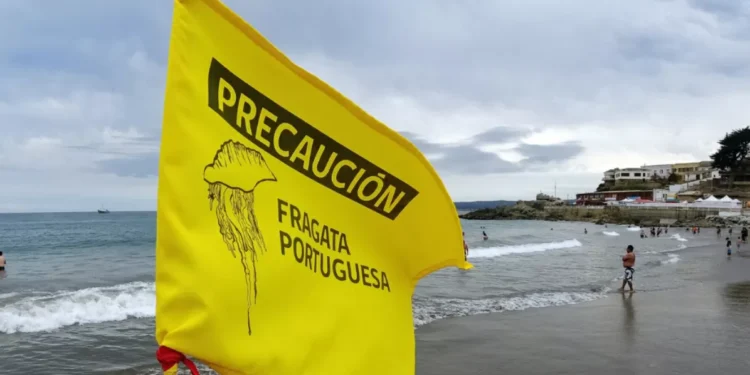 Levantan última alarma vigente por Fragata Portuguesa en región de Valparaíso