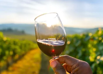 Cómo el mayor escándalo de la historia del vino destruyó el faja en Austria (y por qué ahora está remontando)