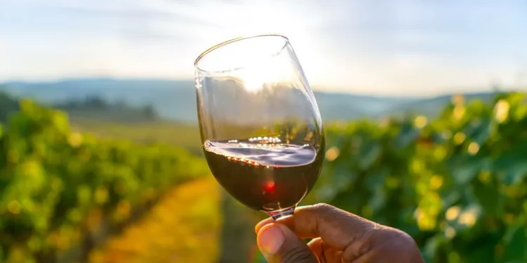 Cómo el mayor escándalo de la historia del vino destruyó el faja en Austria (y por qué ahora está remontando)