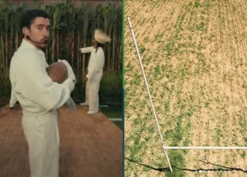 Super Bowl queda suspendido por plantío de caña de azúcar en el terreno