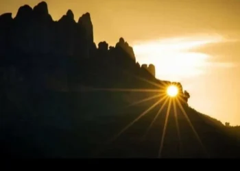 La flor de sol en la Roca Foradada de Montserrat