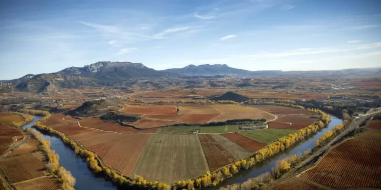 Rioja se conjura para conquistar un futuro prometedor un siglo después