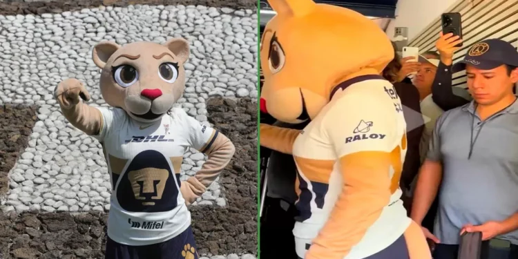 Miles de fanáticos de los Pumas decepcionados de Goya porque hay un hombre abajo