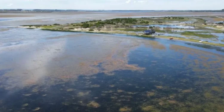 Técnicos de MGAP viajaron a poza Garzón ante confirmación de influenza aviar en un cisne