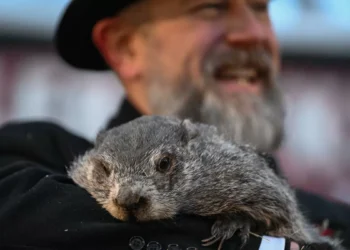 Kill Phil (matar a la marmota)