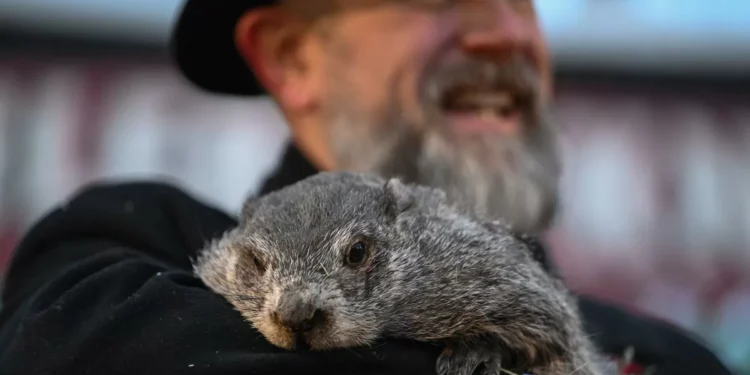 Kill Phil (matar a la marmota)